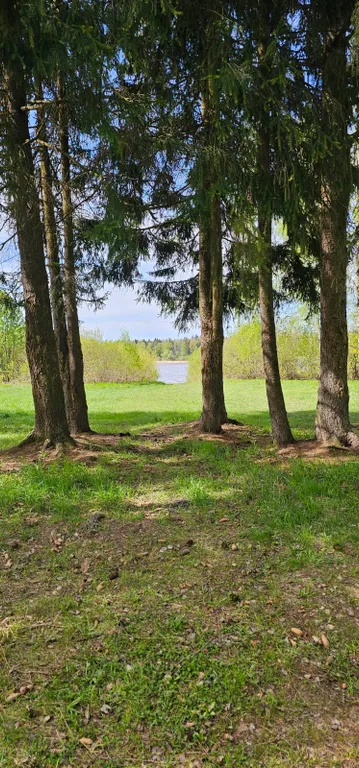 Коттедж Дом с террасой на берегу реки — Логиново