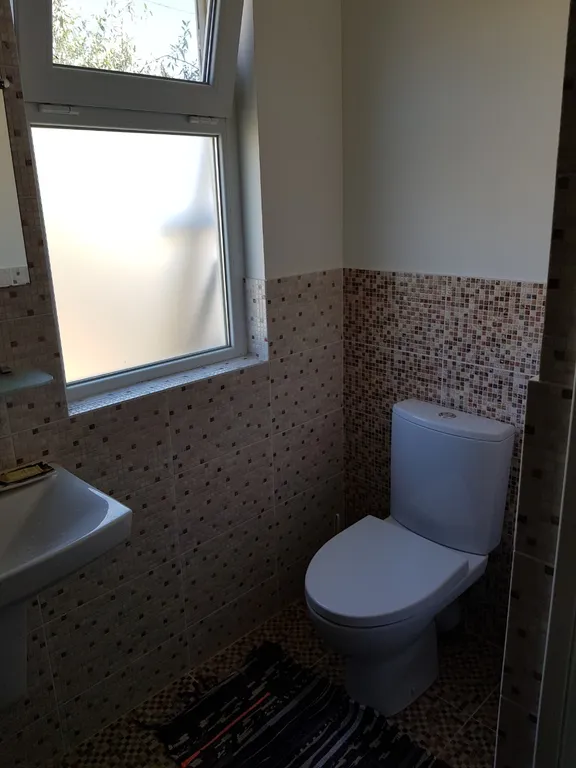 Кактус у Моря