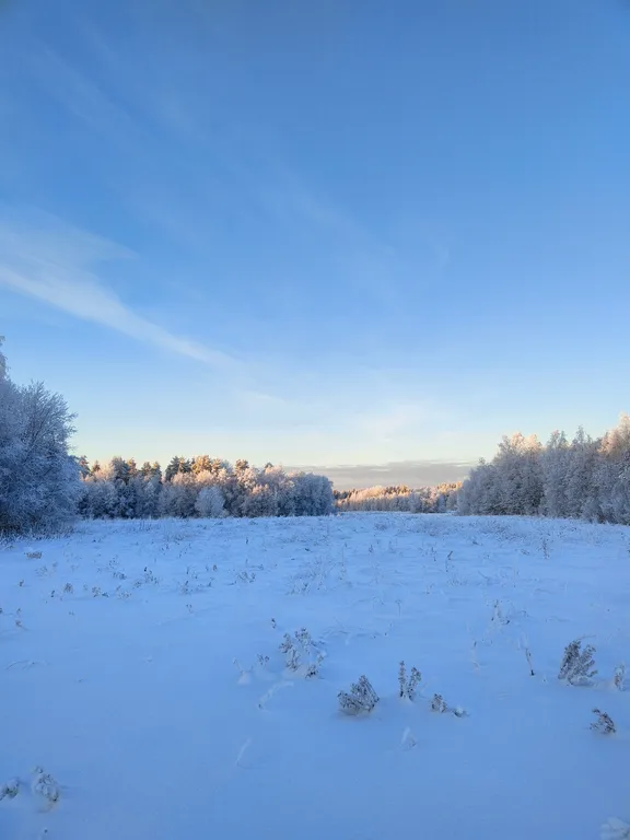Чилим на крыше