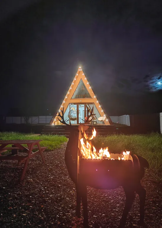 Стильный треугольный дом с видом на лес