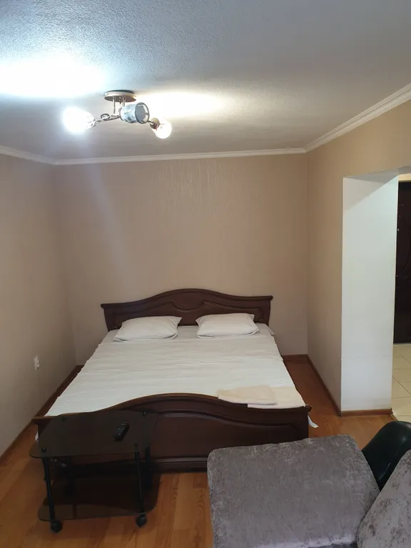 Уютная квартира в самом центре города, поездки в горы