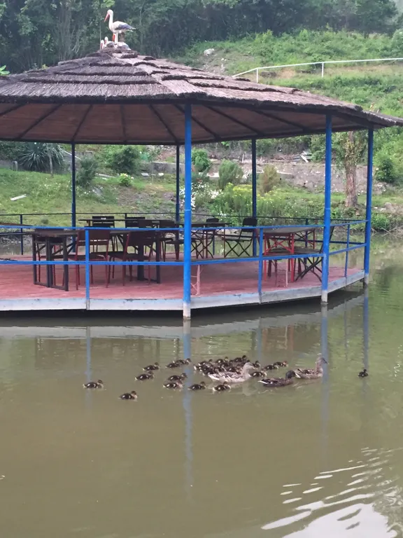 Дом в ущелье Ах-Цу