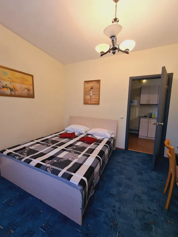 Квартира Квартира Люкс двухкомнатный, 4-х местный с кухней — Анапа