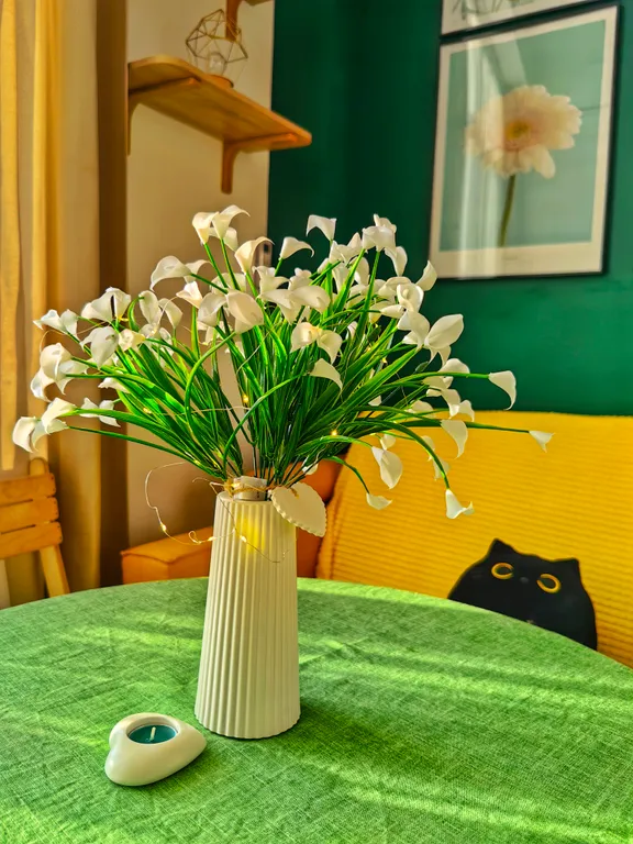 Студия в олимпийском парке