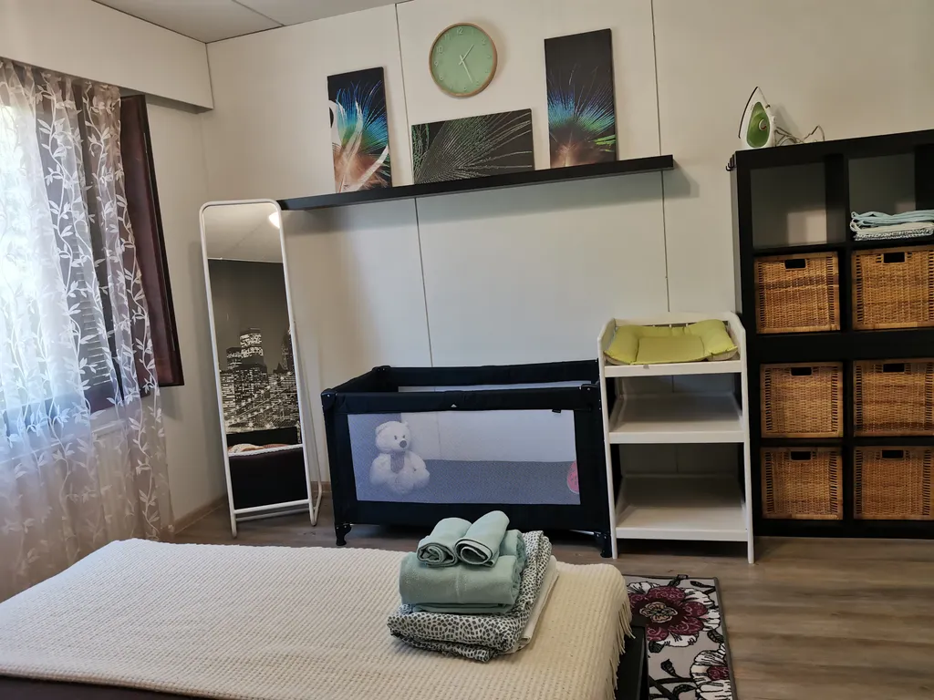 Scandinavian City Apartment