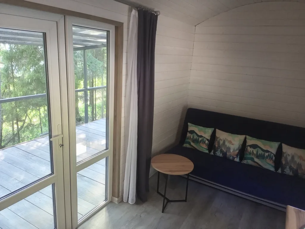 Новые домики среди векового леса на берегу Ладоги