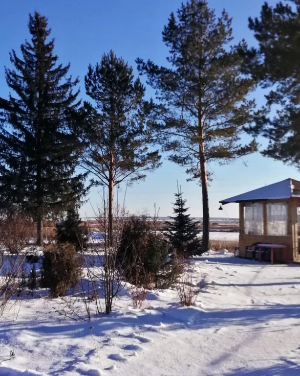 Усадьба в Соколова