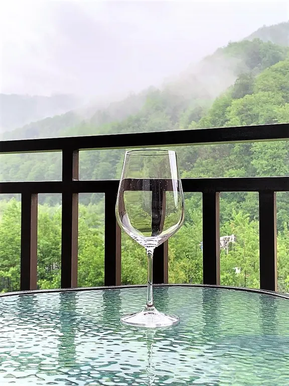 Апартаменты с видом на горы