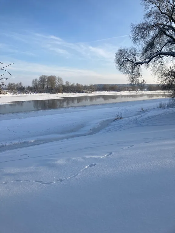 Усадьба Белый кролик