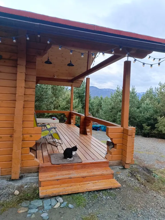 Шале кедровое "Ирбис"