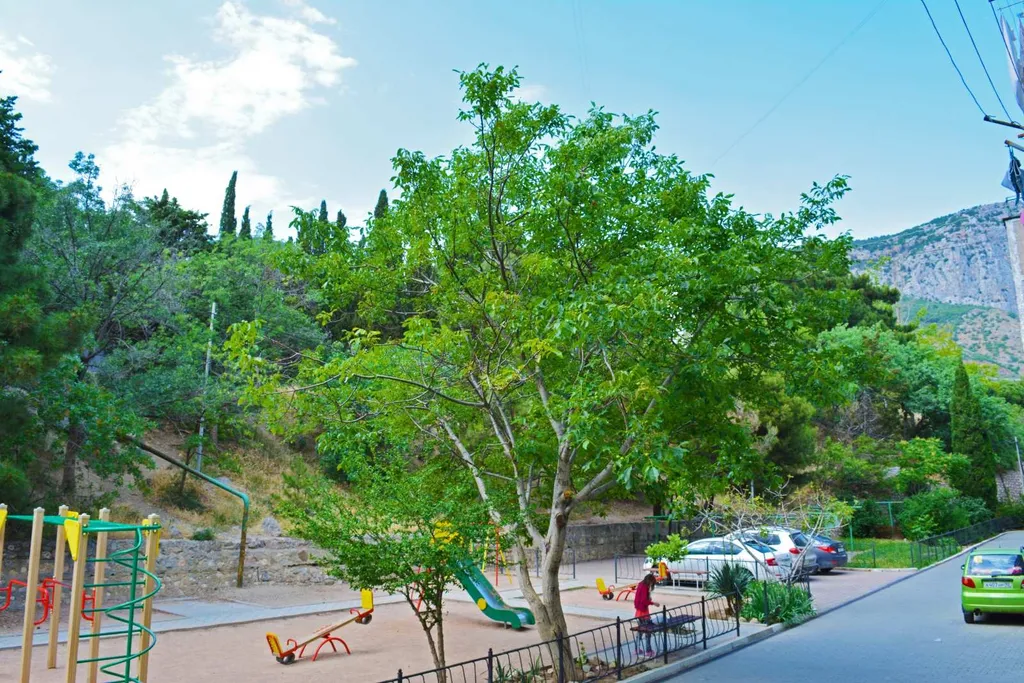 Уютная квартира в центре на 1 этаже