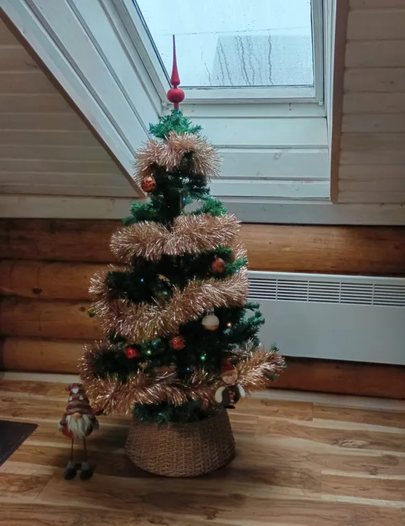 Дом в Карелии