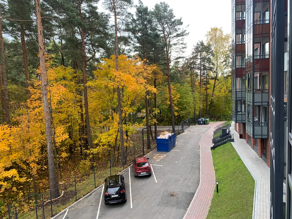 Студия с видом на сосны в Зеленогорске, закрытая территория