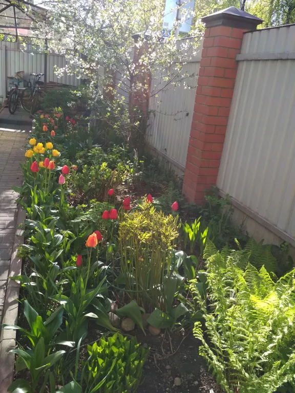 Дом с сауной Вишневый сад