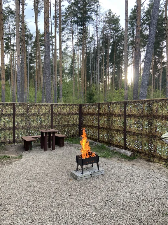 Дом в черте города в сосновом лесу