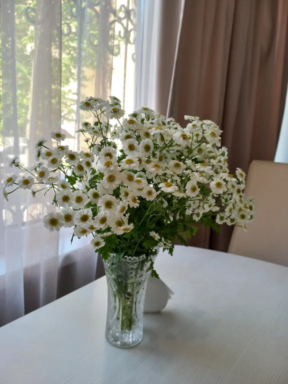 Квартира Квартира у моря — Сухум