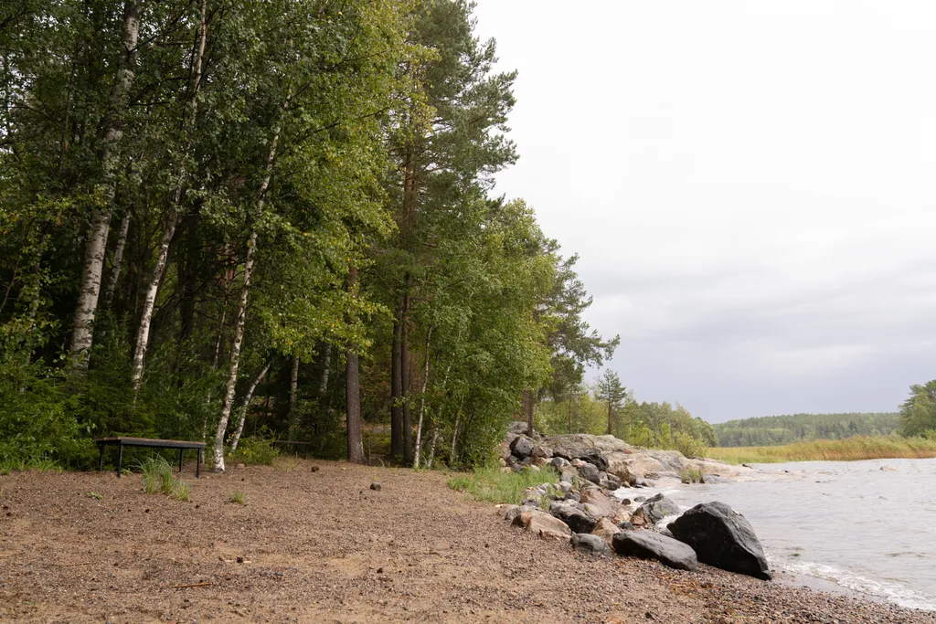 Уютный дом с дровяной сауной