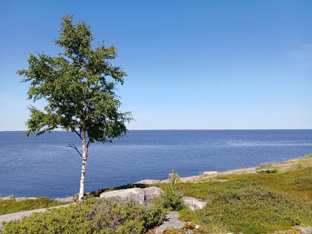 Отдых на Белом море