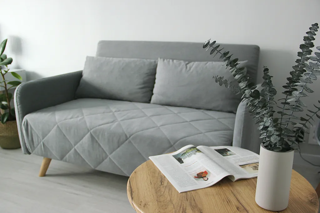 Уютная квартира у Певческого поля