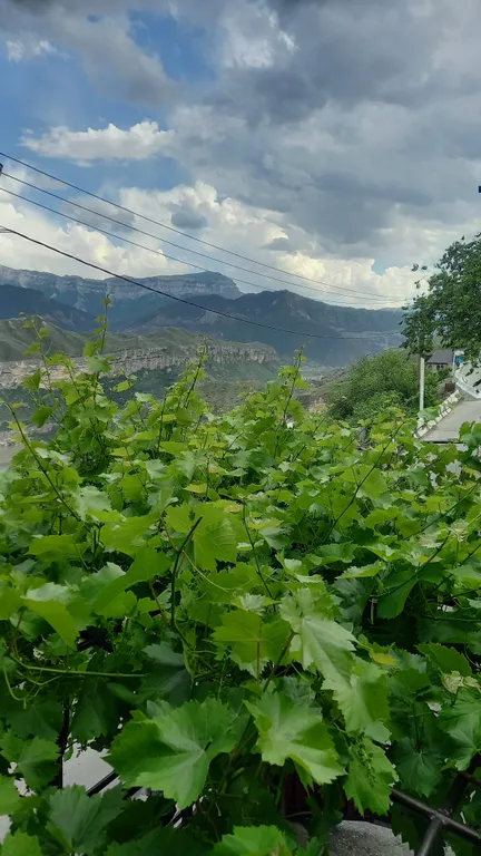 Гостевой дом "Горянка "