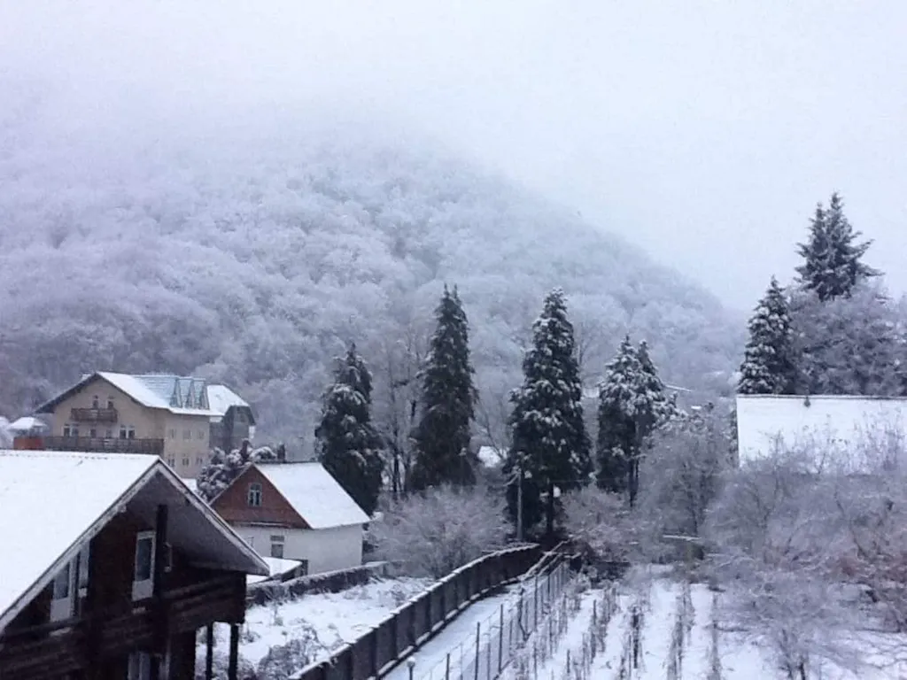 Панорамная студия с потрясающим видом на горы в центре красной поляны