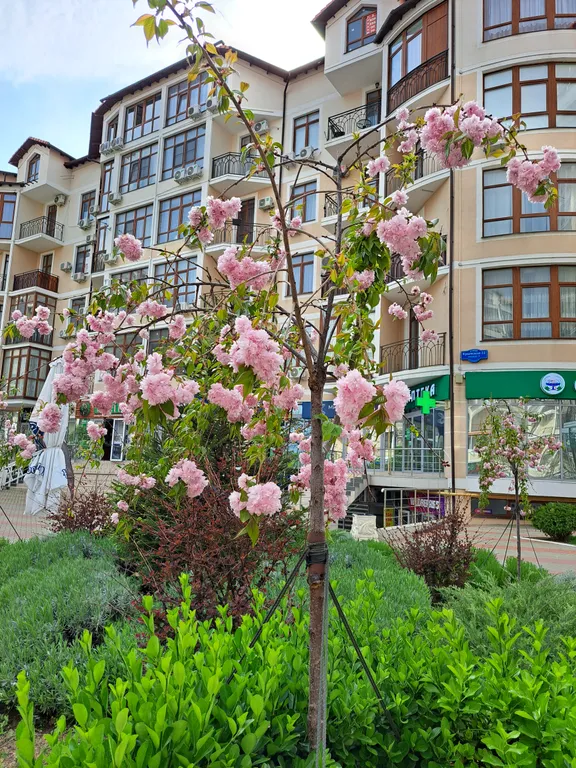 Квартира Квартира у моря ЖК Черноморский-2 — Геленджик