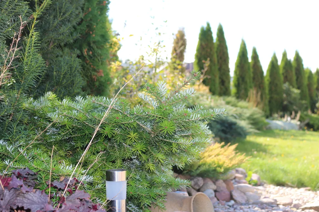 Коттедж с баней Жировичи около Слоним, Гродно, Брест, Минск