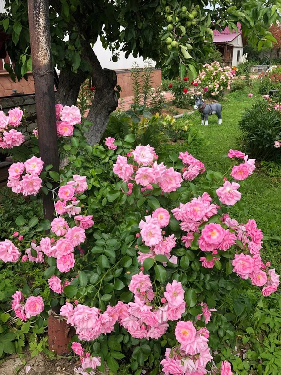 Уютный дом в тихом районе центра города