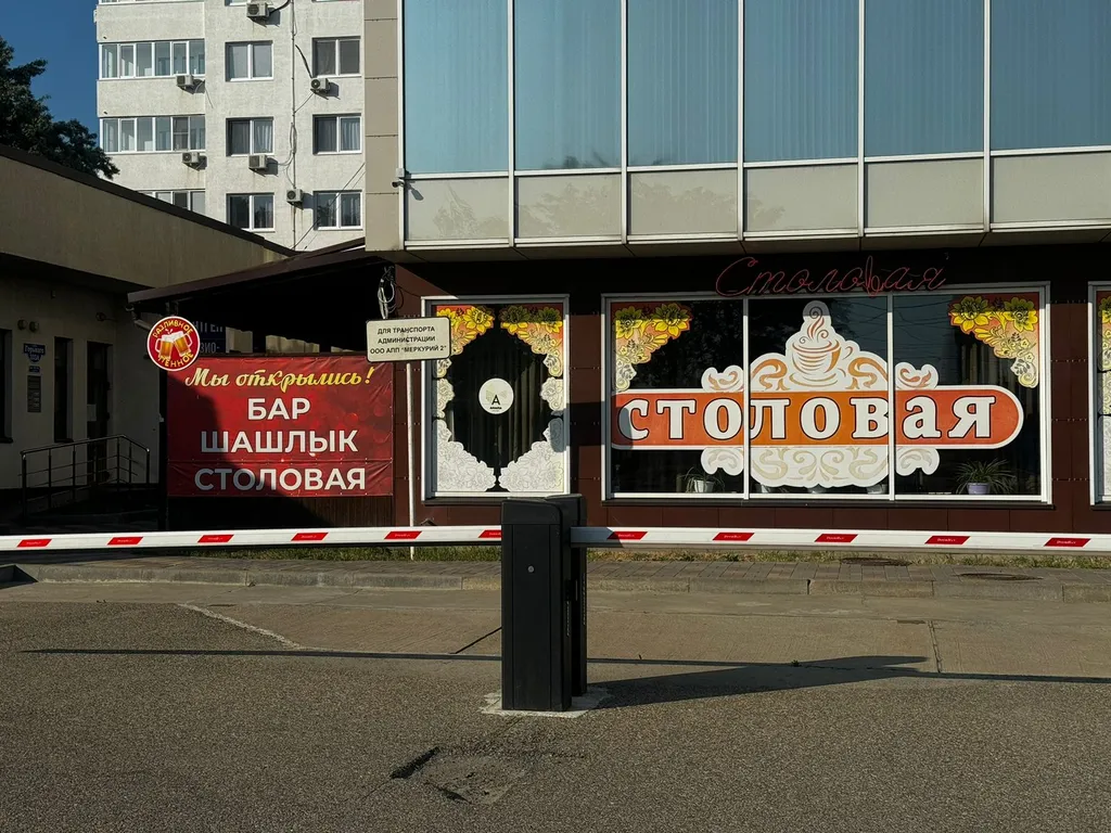 Уютная квартира у моря