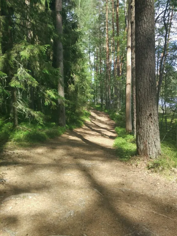 Мансарда на Селигере