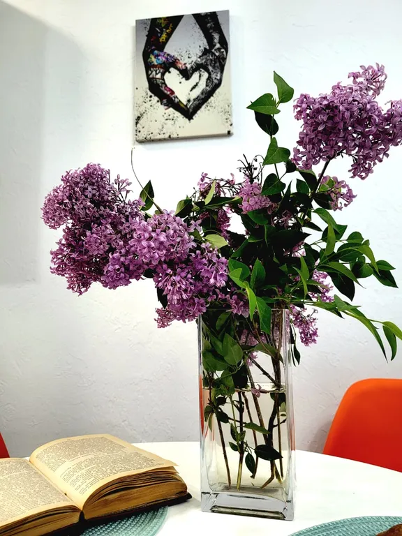 Уютная студия в центре города