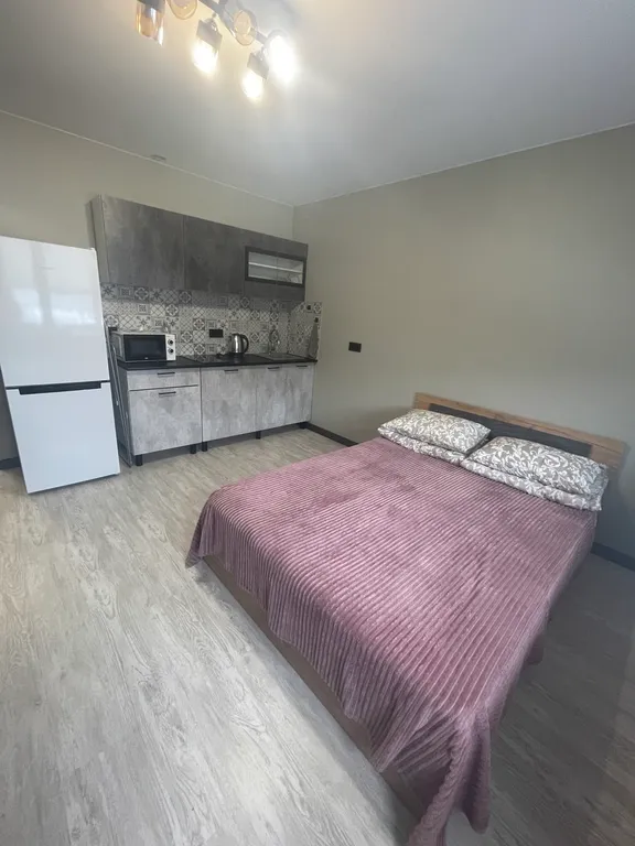 Квартира Квартира студия для путешественников и командированных — Лобня