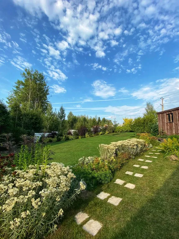 Любимый дом