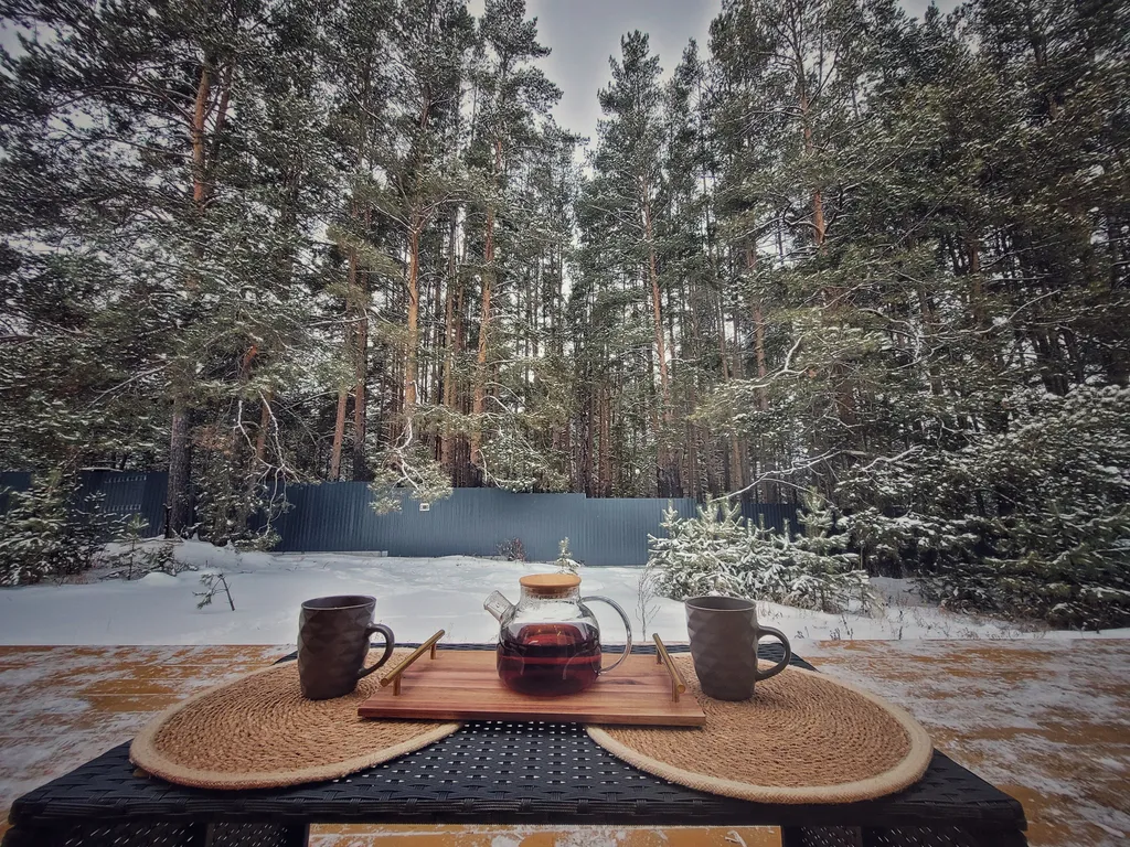 Дом в сосновом лесу