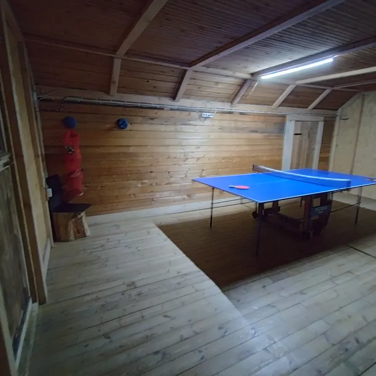 Коттедж Гостеприимный дом Викинг для большой компании — Советский