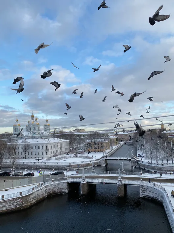 Квартира Видовая квартира с двумя балкончиками — Санкт-Петербург