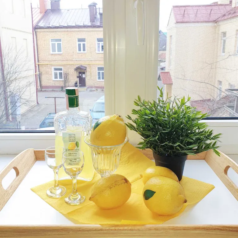 Квартира в историческом центре города