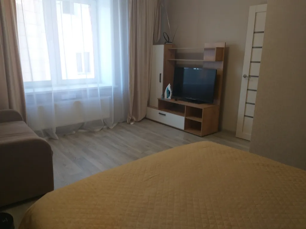 Уютная однокомнатна квартира в центре города