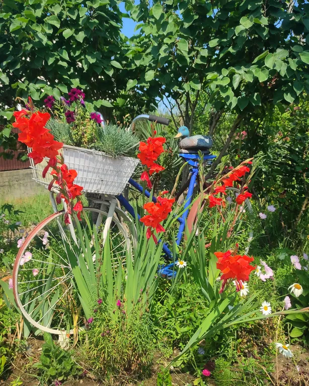 Гостевой дом Тихий уголок