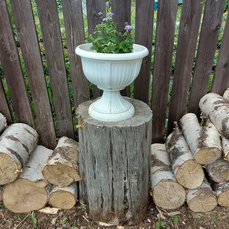 Деревенский дом