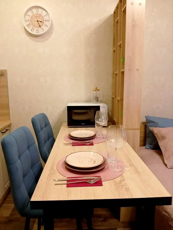 Уютная студия в ЖК Алые паруса с панорамным видом на реку Волхов