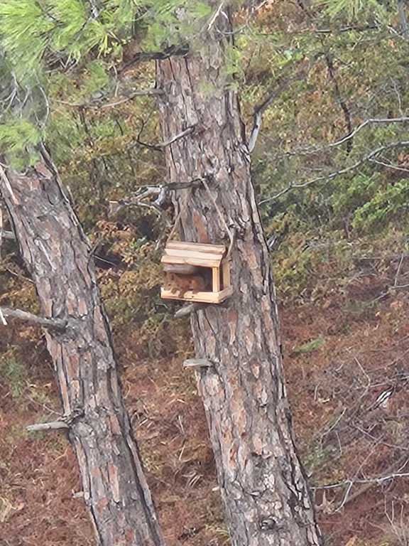 Квартира Апартаменты "Лес и Море" с видом на сосновый лес в живописном районе — Геленджик