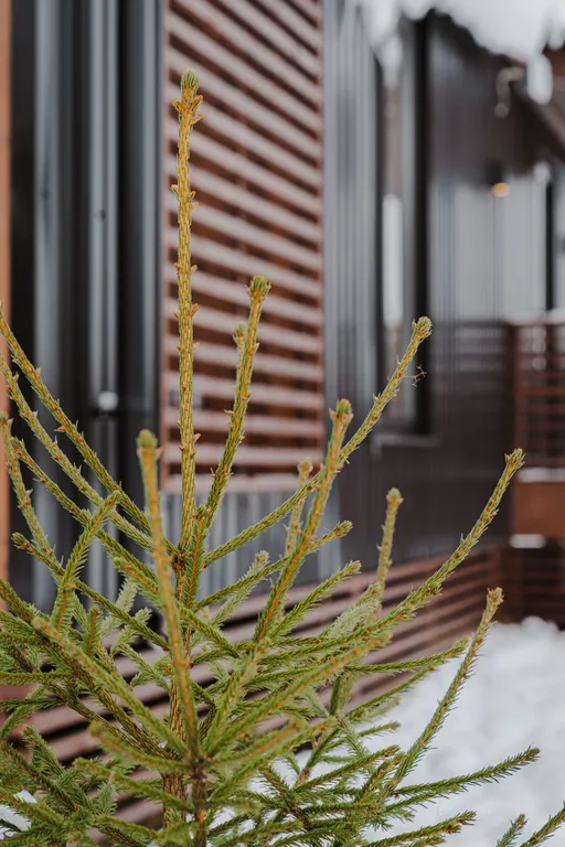 Новый стильный барнхаус с видом на лес