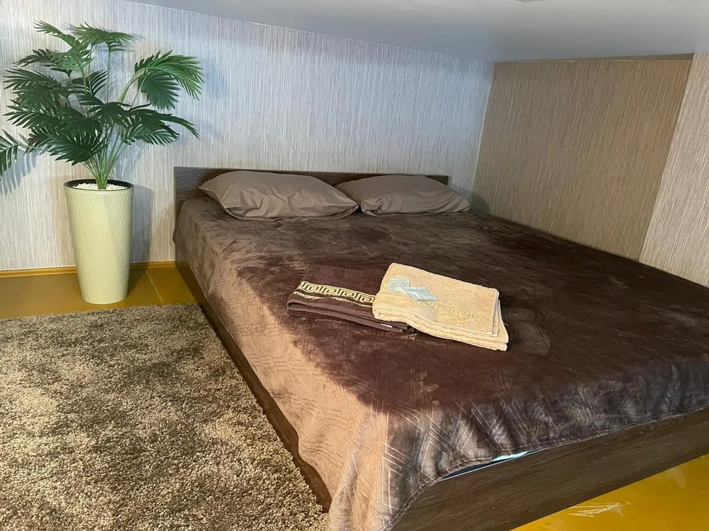 Двухуровневая студия в центре города