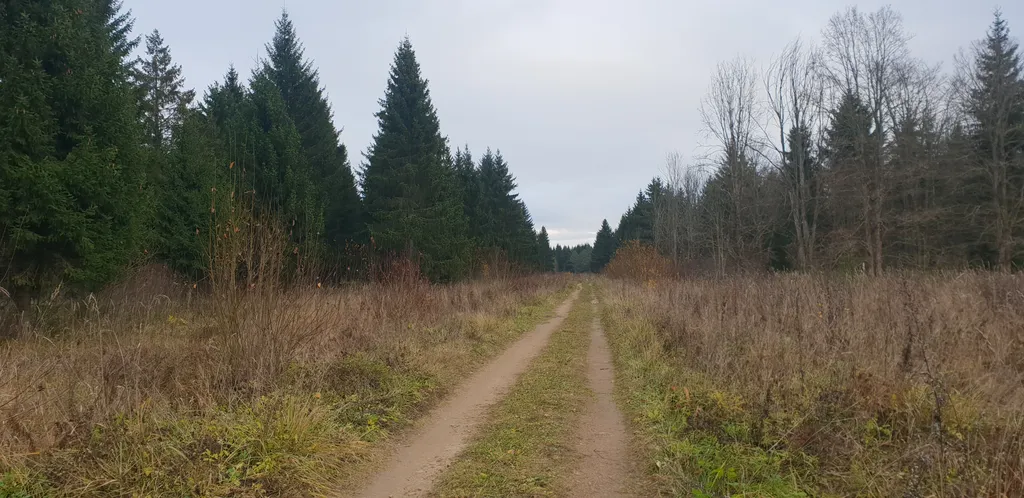 Уютный новый дом рядом с городом