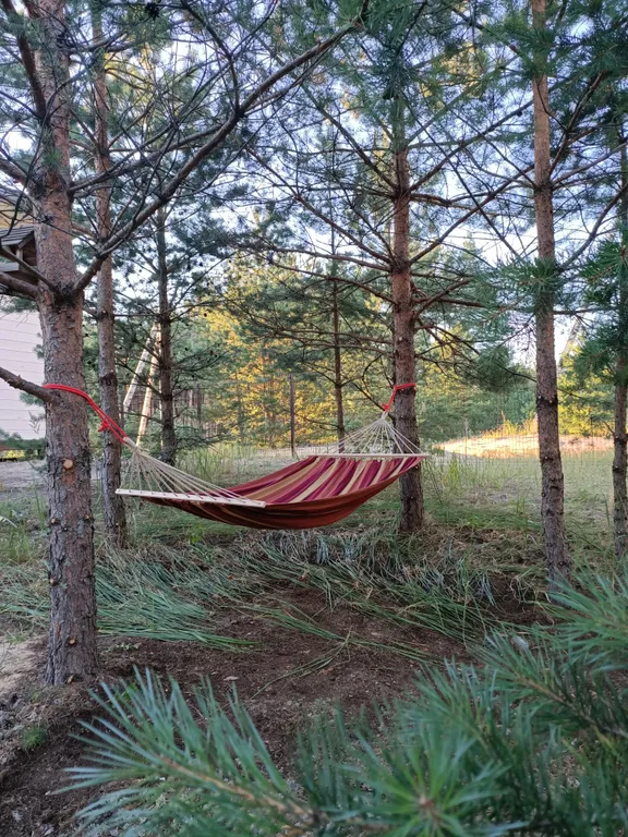 Гостевой дом Сосны Кельцы