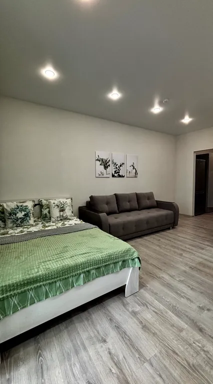 Студия в эко стиле в доме бизнес класса