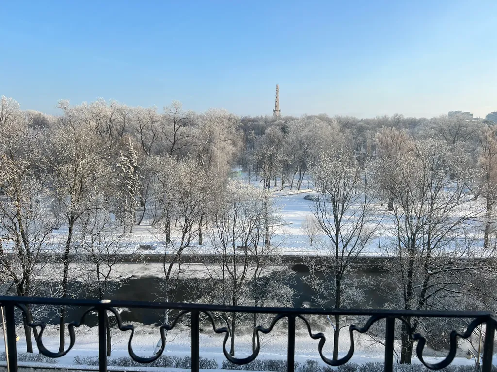 Апартаменты с видом на центральный парк