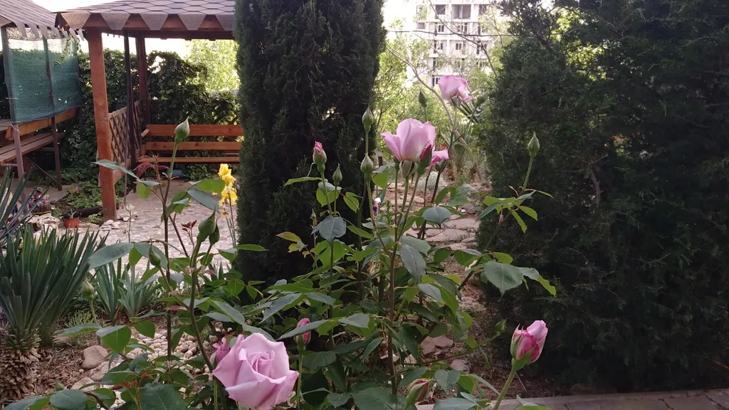 Квартира Квартира Семейное гнёздышко 300 м.от моря — Севастополь