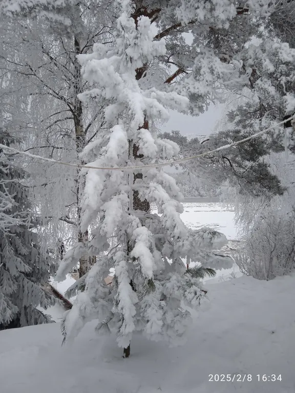 Коттедж Дом для семейного отдыха, Дом на Новый год — Кириши